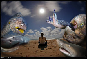 Karin's midsummernights dream... by Dray Van Beeck 
